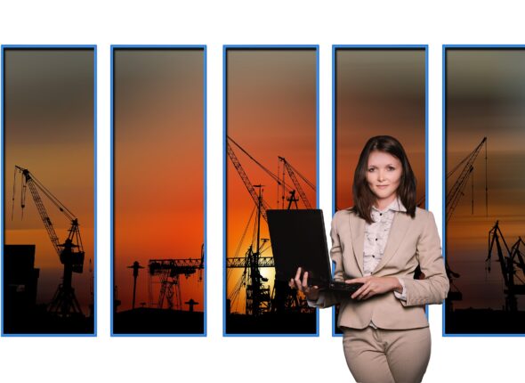 Program and Portfolio Management for Organizational Success